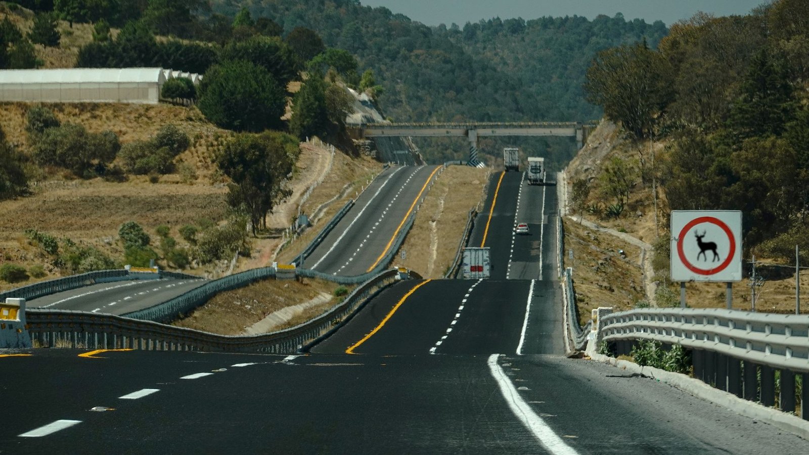 Más muertes en carretera tras los grandes lanzamientos de discos