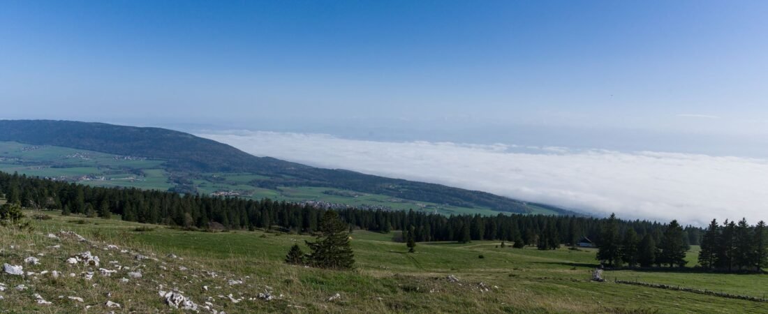 Nuevos hallazgos en el Jura bernés, el tesoro de meteoritos alcanza dimensiones récord