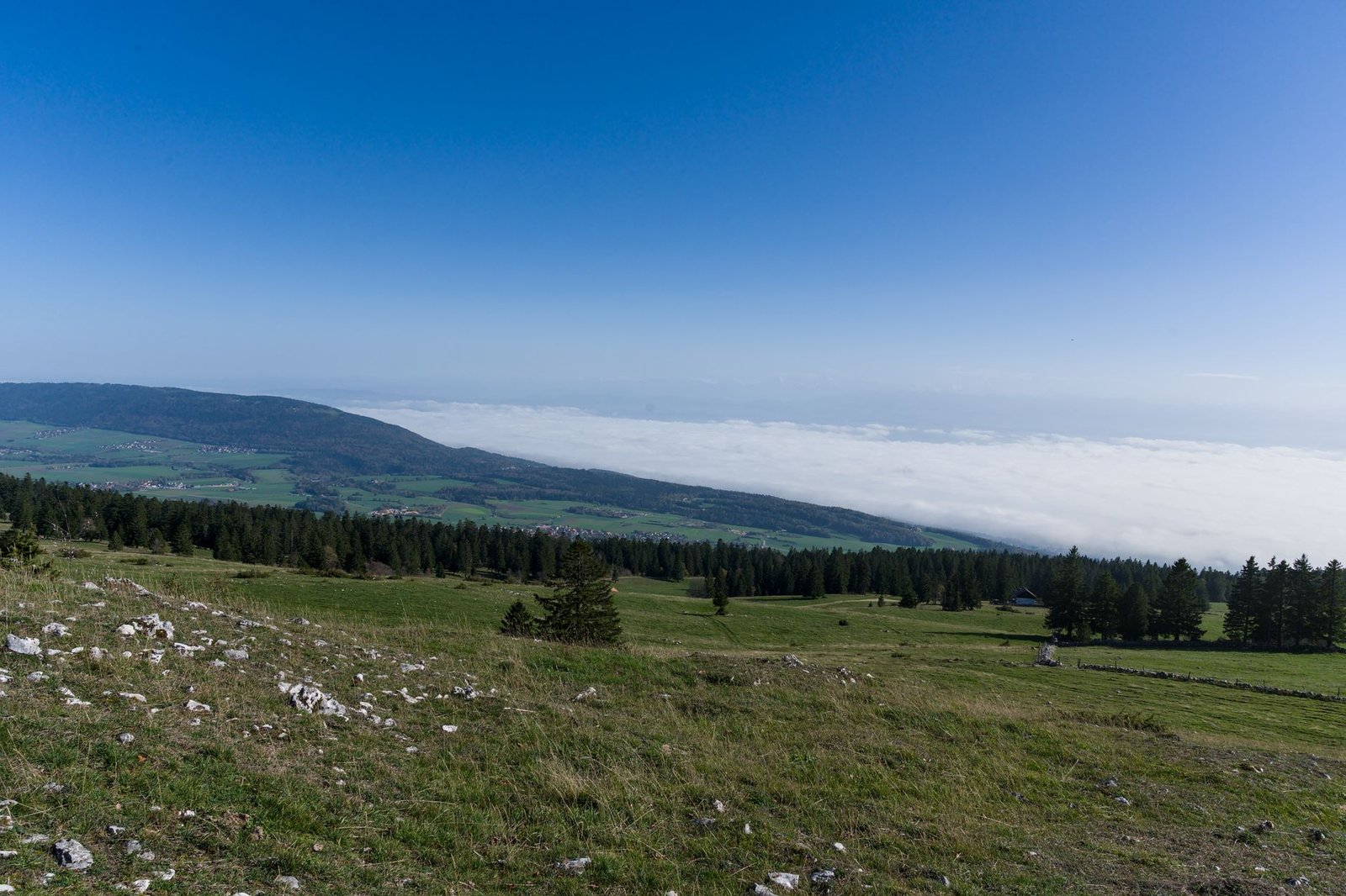 Nuevos hallazgos en el Jura bernés, el tesoro de meteoritos alcanza dimensiones récord