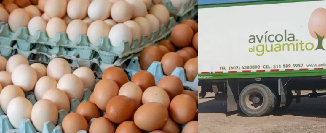 180.000 huevos, cuatro furgones y 15 hombres armados: este fue el…