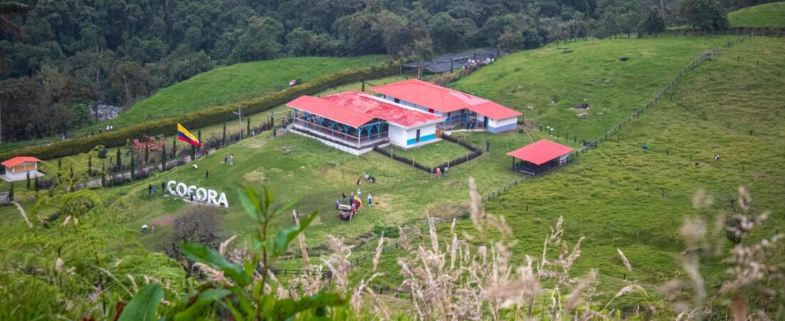 Empresarios piden decisiones para convertir a la Altillanura en motor agroindustrial de Colombia