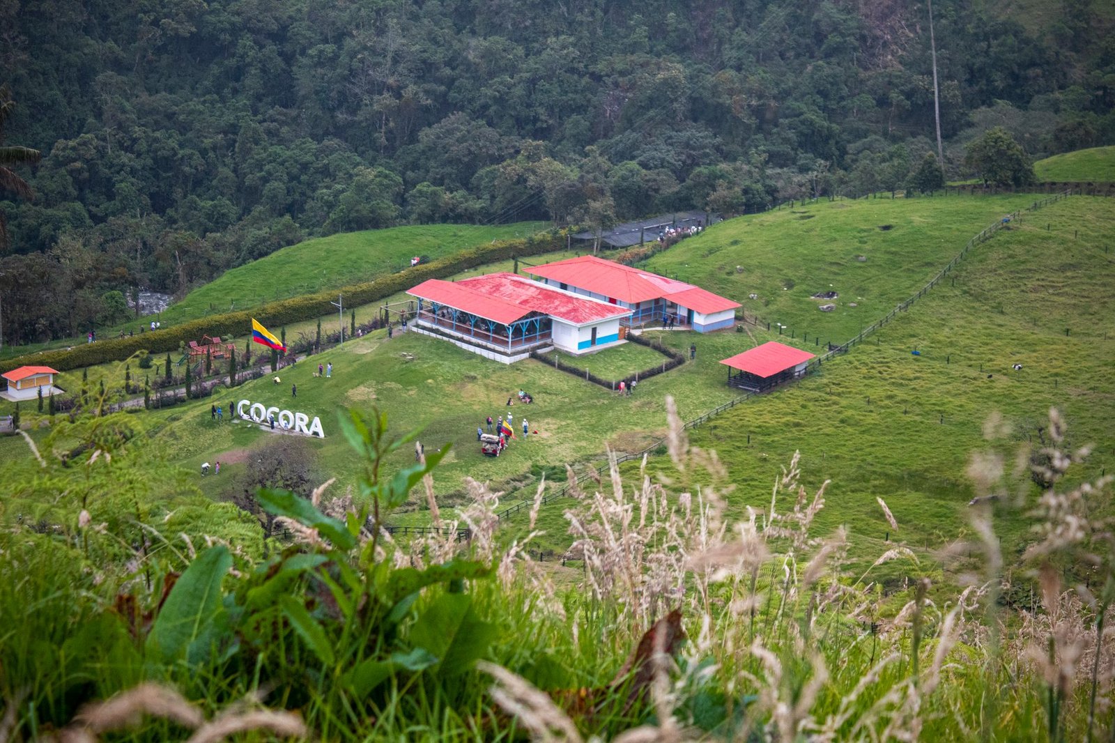 Empresarios piden decisiones para convertir a la Altillanura en motor agroindustrial de Colombia