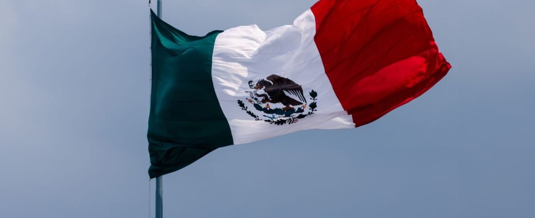 Abatido en México ‘El Güicho’, líder del Cártel de Los Reyes